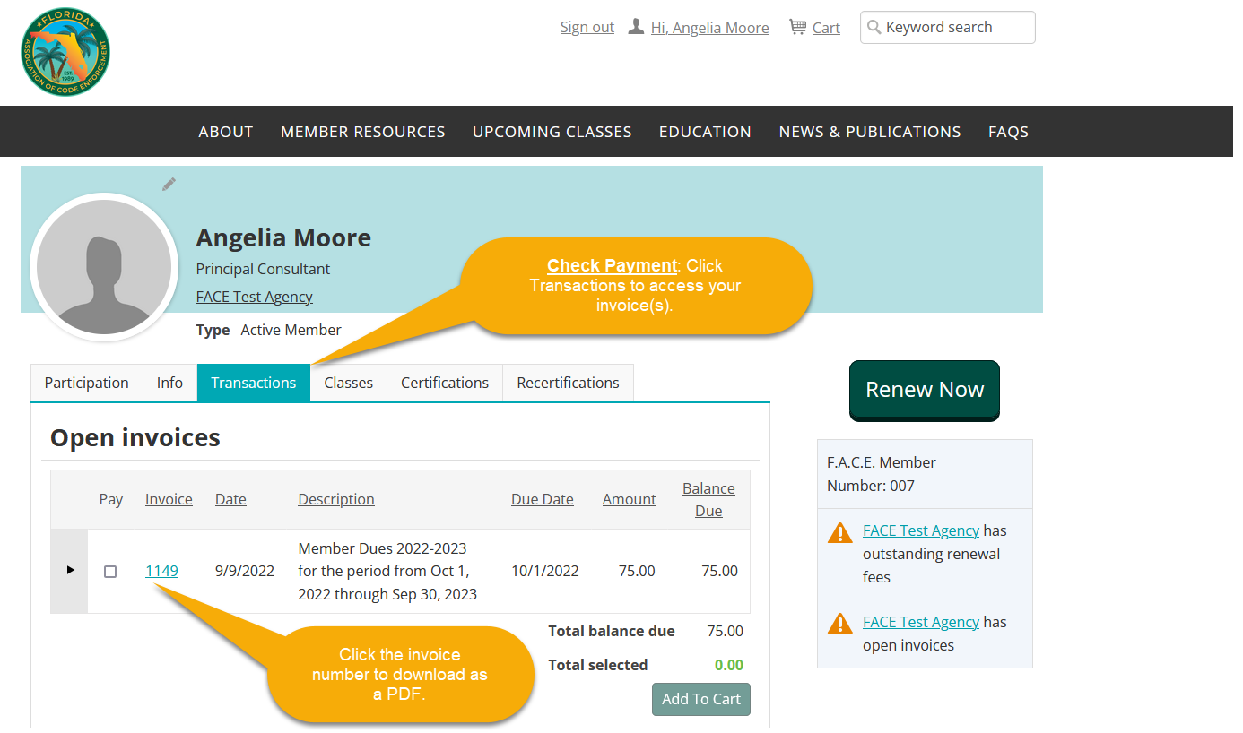 Instructions pointing at the transactions tab and invoice number to download a PDF